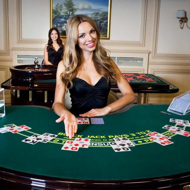 66d Live Casino